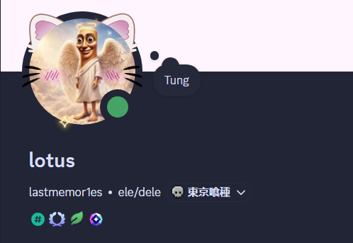 r1anoss's tweet photo. sou feliz com meu perfil no discord https://t.co/wNdtm3Wu6j