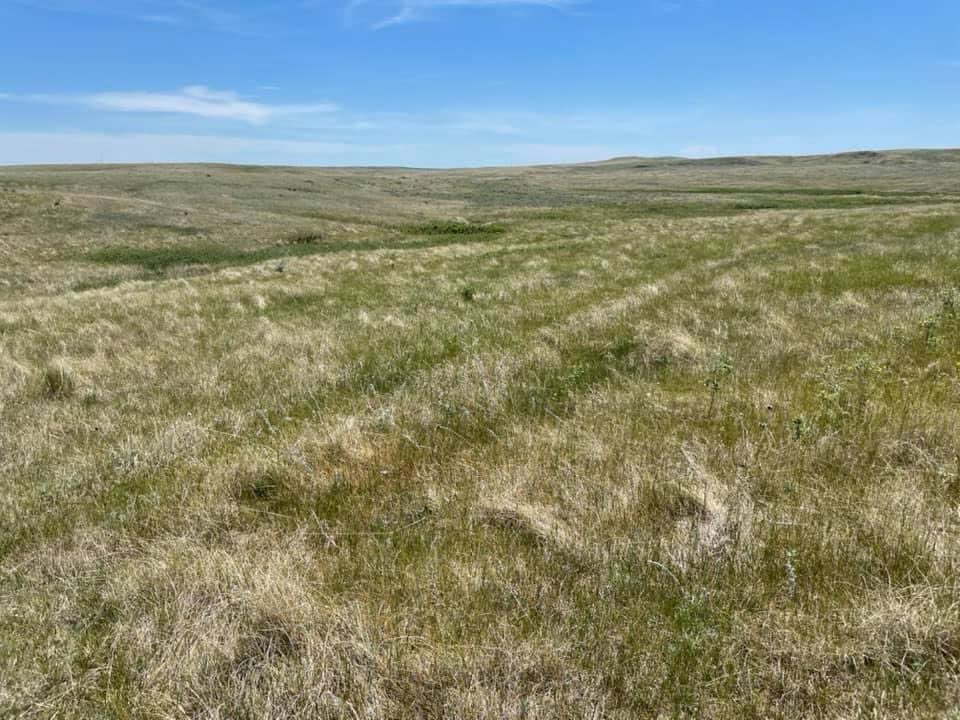 brim006's tweet photo. 150 years after Custer’s 1876 westward march from Fort Abraham Lincoln toward the Little Bighorn, the deep ruts left by the heavy wagon trains of his expedition are still clearly visible across parts of western North Dakota and eastern Montana. Pictured here are Custer’s ruts in Slope County, ND.