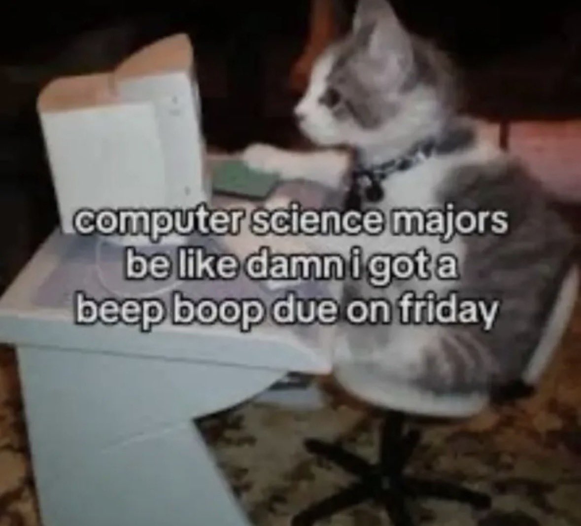 literallymecats's tweet photo. https://t.co/trk8pEAM6S