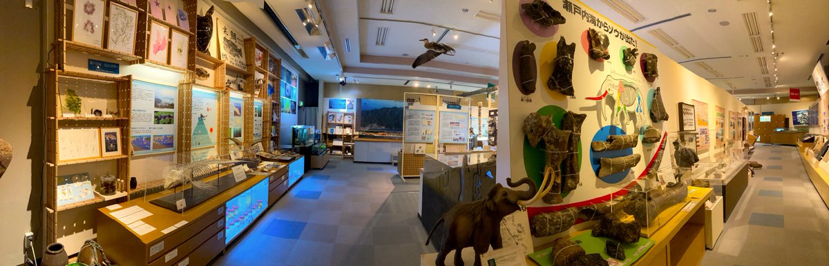 hirog_humuseum's tweet photo. 【臨時開館のお知らせ】
7/12(日)は、本学の「2026ゆかたまつり」に合わせ、博物館本館を臨時開館いたします。
また、当日は総合科学部K101講義室にて、学生スタッフ「HUMs」による展示を行いますので、併せてご覧ください。
#広大博物館 #イベント情報 #広島大学 #ゆかたまつり https://t.co/kexE3JqlQB