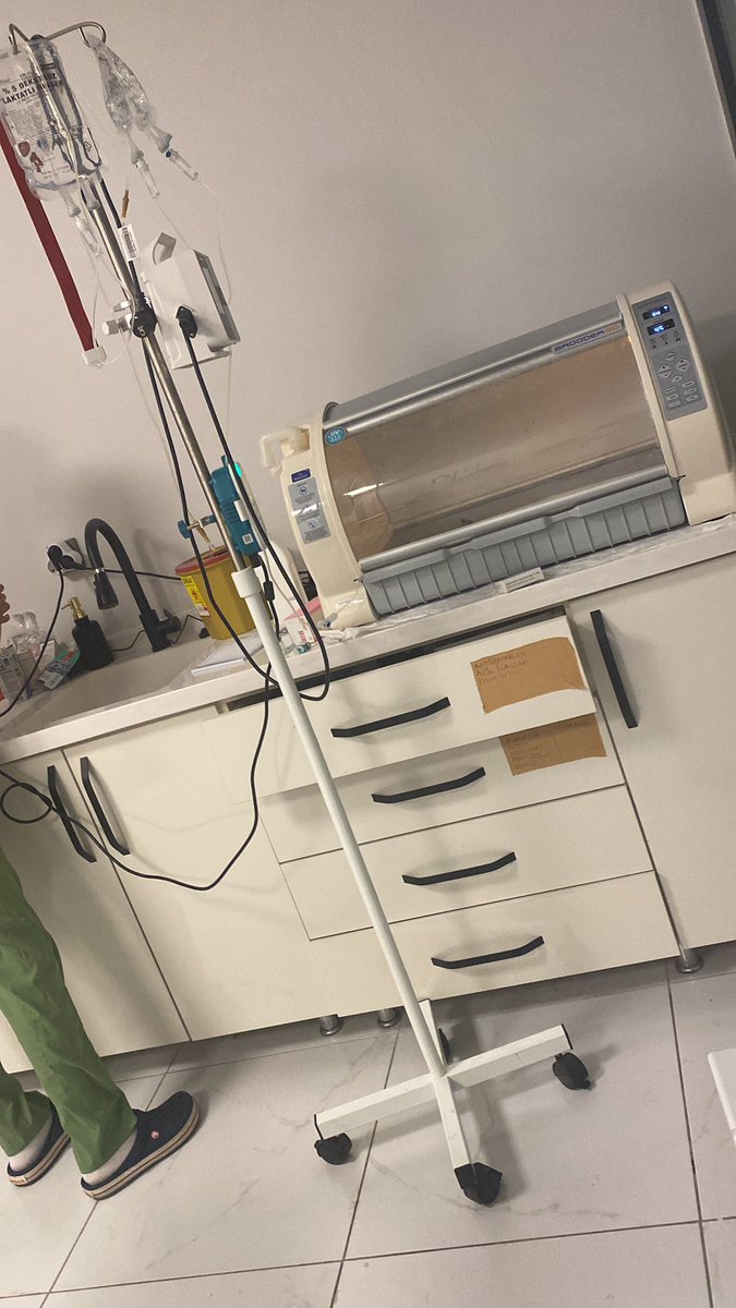 Sanane_491's tweet photo. Kedim yoğun bakıma alındı 😭

Lütfen dua edin https://t.co/ekJmjgSTyh