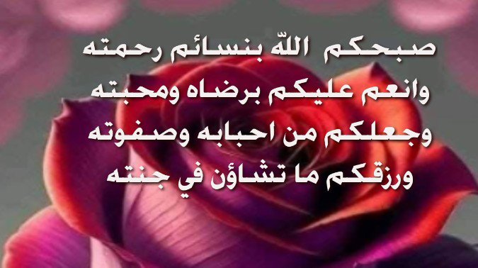 ابا ايوب الانصاري tweet media