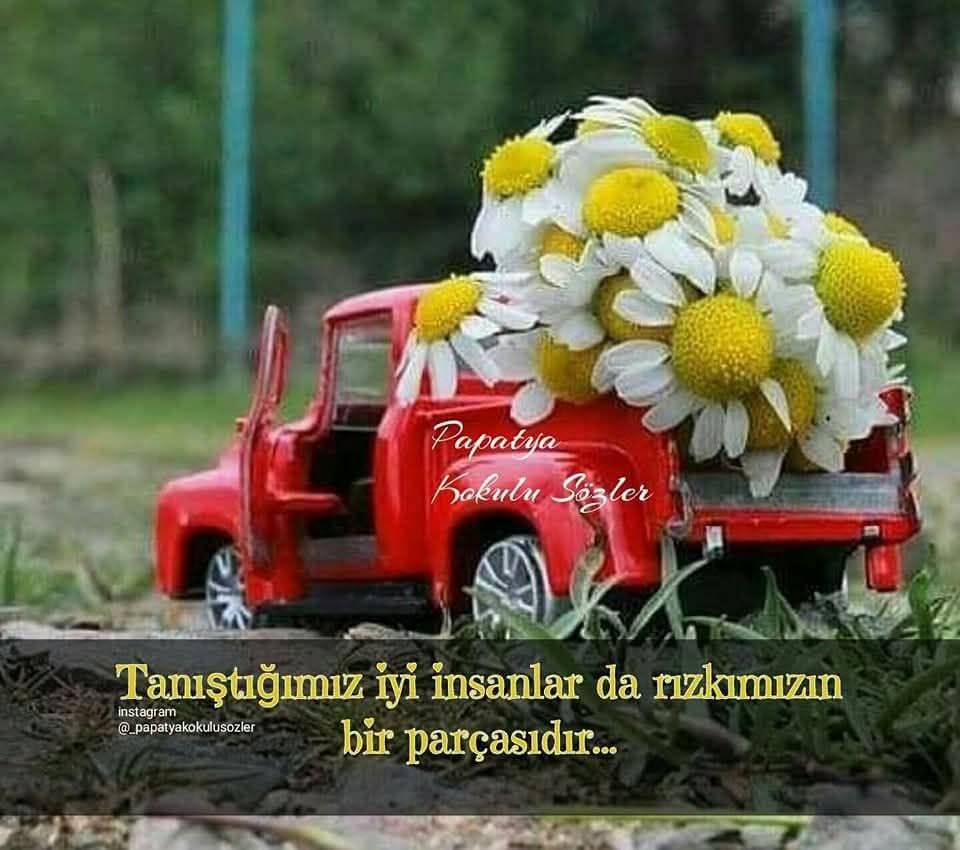 Guven1841's tweet photo. https://t.co/azfH3T0kCB