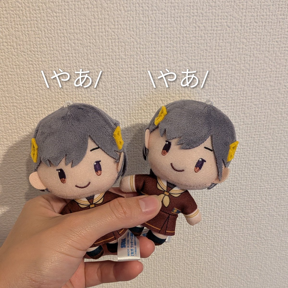 _emp0uico's tweet photo. ふたばさんのおかげでうちの泉が双子になりました！！まとめて幸せにする🥹🍀感謝🙏 https://t.co/BpczYHPSbd