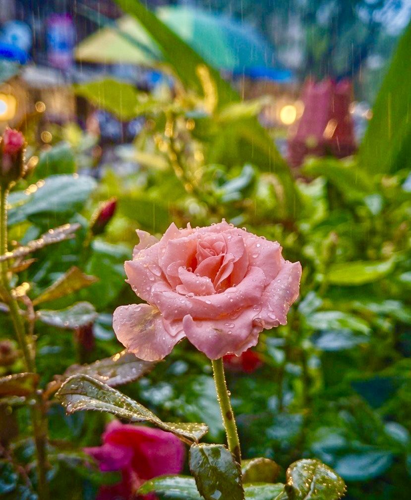 TheMoneyTreee's tweet photo. Good morning #morning https://t.co/BNhMc2rqfn