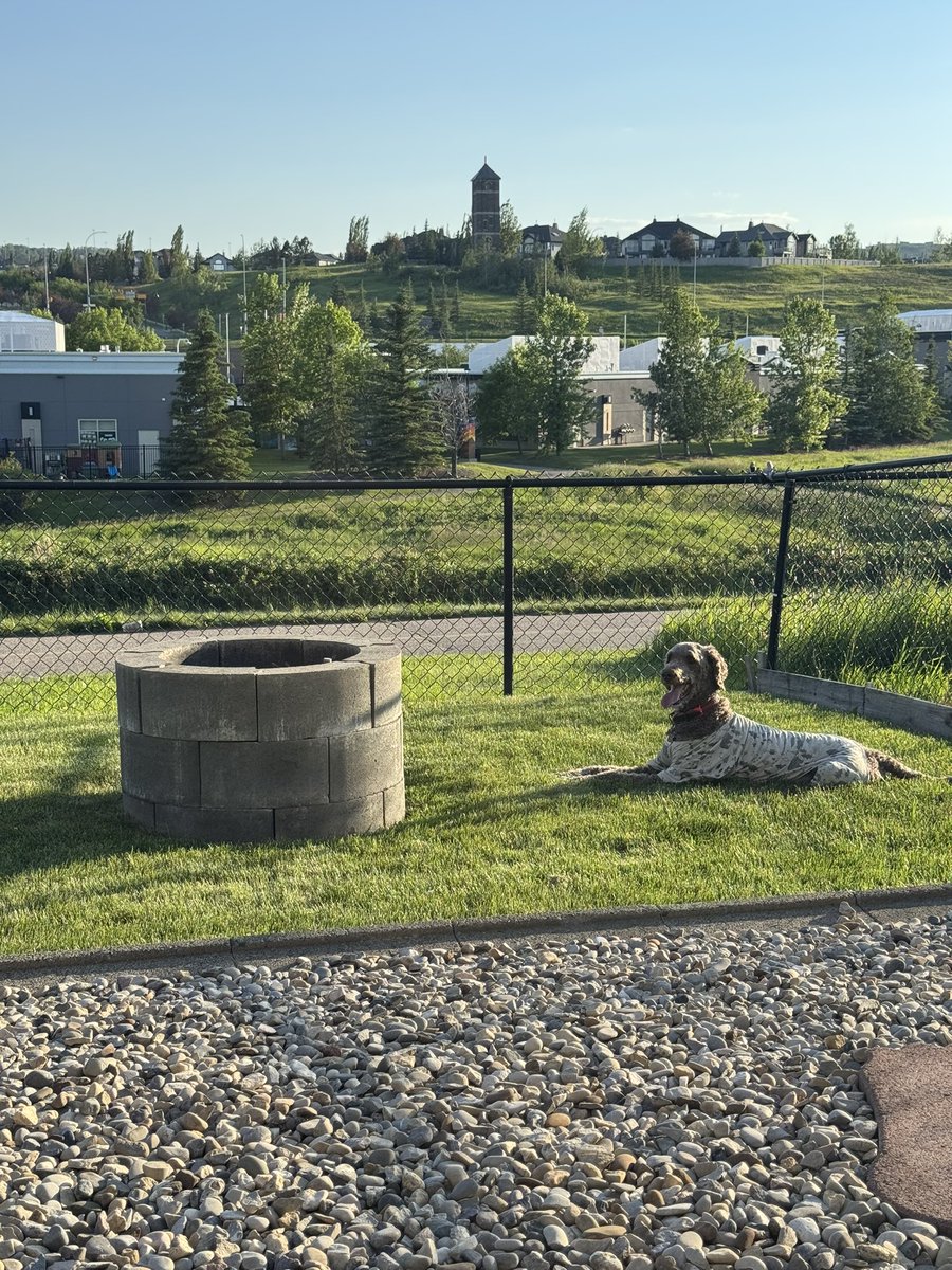 Ryan_the_Spoo's tweet photo. It’s soooo nice in YYC tonight. We are enjoying it. No firepit 🔥 but that’s ok. Hot enough anyways. #spoo #spoooutdoors #spooinjammies https://t.co/clp4VrdEd4