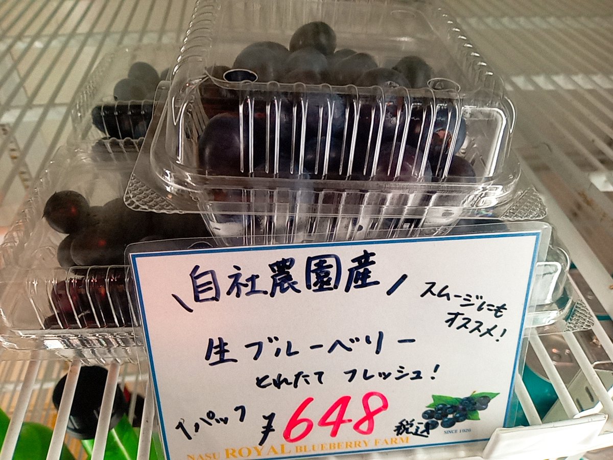 661_st's tweet photo. 自社農場で採れたブルーベリー。
この時期に採れるブルーベリーは、粒が大きい！！ https://t.co/6LenopPnG2