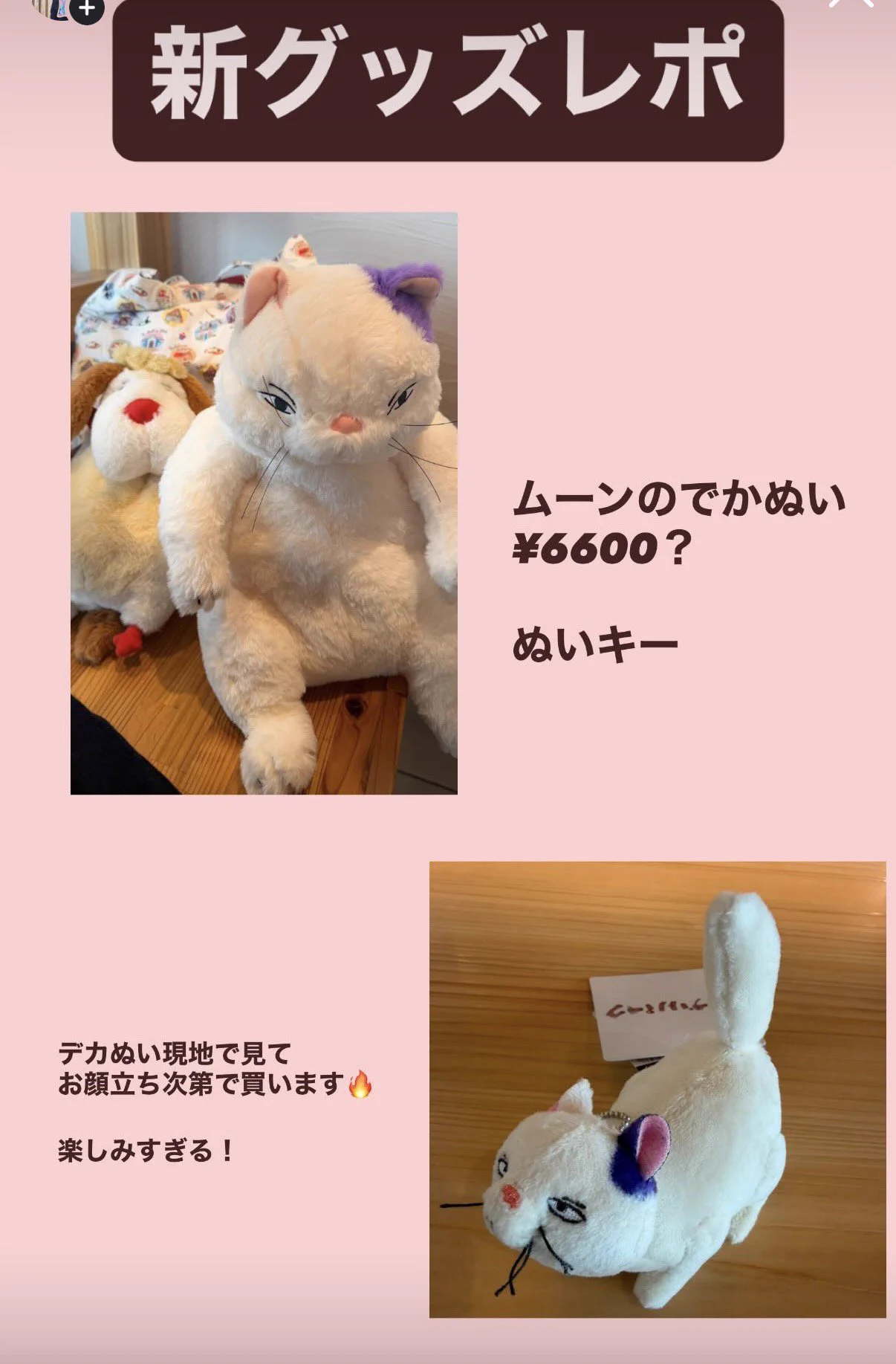 みぃみ🥜ジブパオタク on X: 