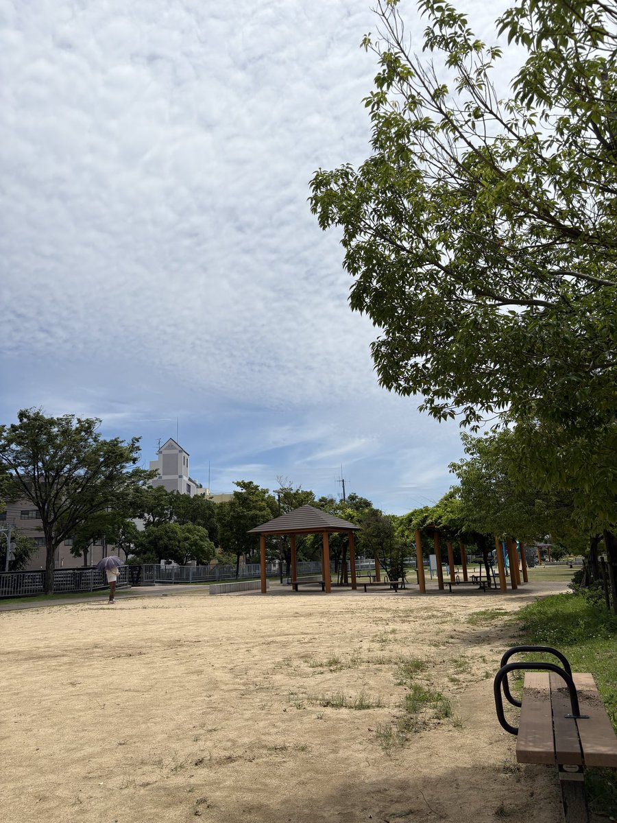 lady_nada1969's tweet photo. 梅雨明け☀️ https://t.co/R5XtqK2bzM