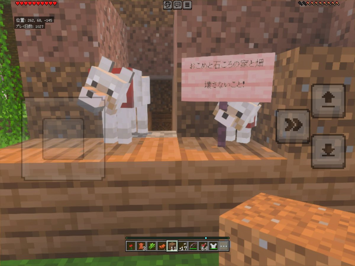 okometaki88's tweet photo. 石ころとペット🐶
前のマイクラでお家の前にお墓が4つ出来ました https://t.co/icRP8dwlNT