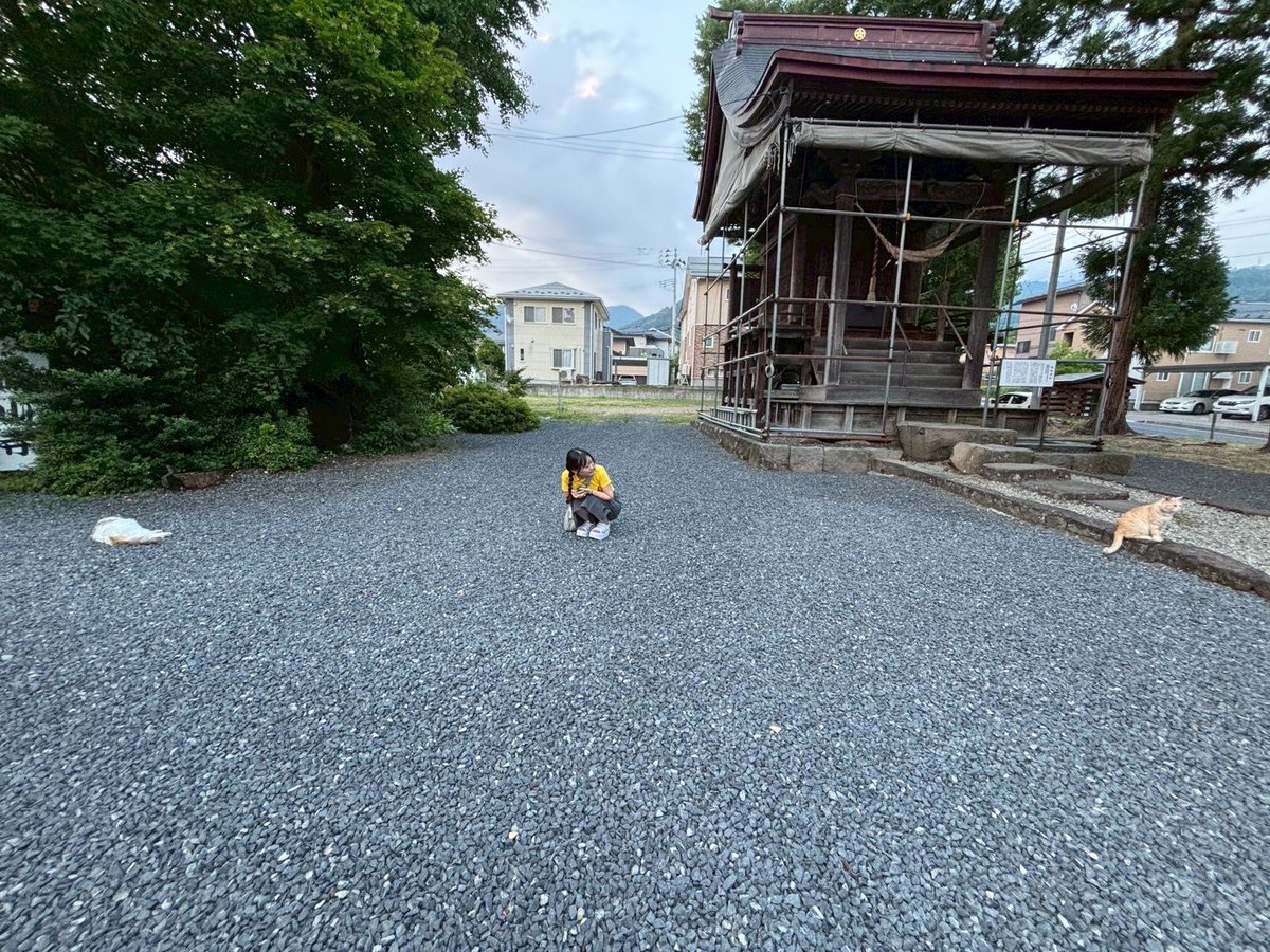 Laugh_noon's tweet photo. <🦗演者紹介🛎️>

①おけら
②おけら
③東北芸術工科大学お笑いサークルDAUT
④好きなスイーツに一言
　チュ♡(挨拶)、いただきま♪(捕食) https://t.co/VNCcD4o56T