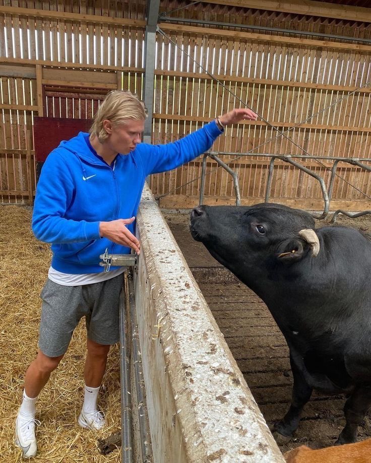 rindocasal's tweet photo. 🚨Haaland afirma que quer ser Fazendeiro quando se aposentar do Futebol “Quero ser fazendeiro. Quero dirigir um trator, alimentar minhas vacas, esse é o meu sonho. E isso que quero fazer quando me aposentar." 😂❤️ https://t.co/tCcHONLvTf