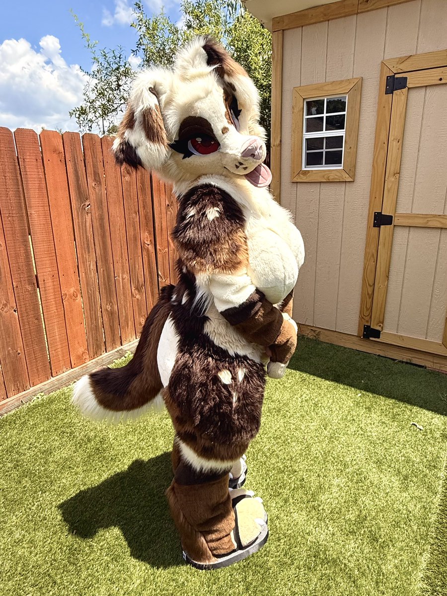 misqybun's tweet photo. Backyard photos! Got new sandals so now I don’t gotta worry about my beans getting dirty! 💛
#fursuit #furryㅤㅤㅤ https://t.co/HHq5ctZaaF