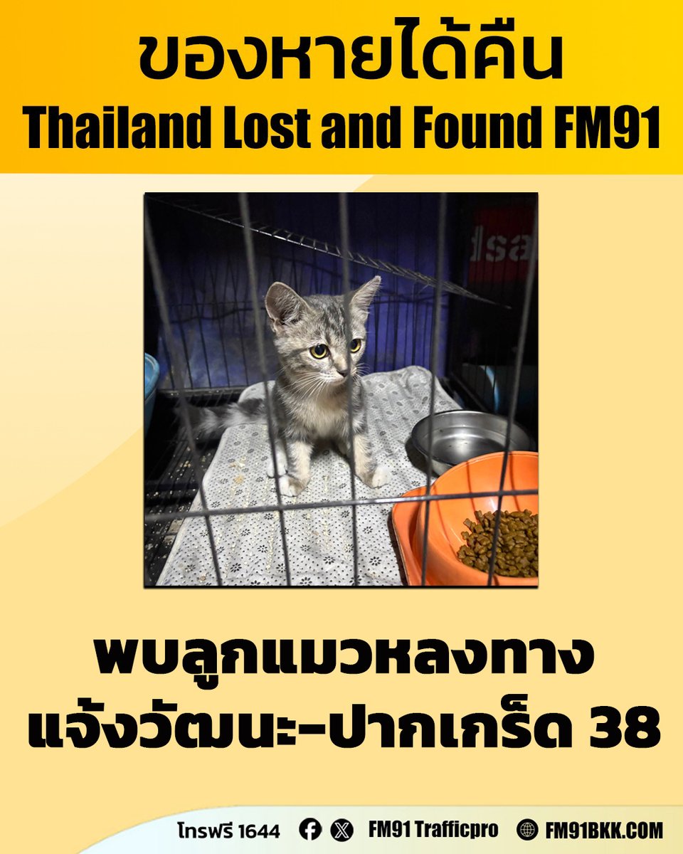 fm91trafficpro's tweet photo. ช่วยแชร์ให้หน่อยนะคะ เผื่อเจ้าของกำลังตามหาอยู่ ❤️

ผู้ใช้เฟซบุ๊ก Icezy Phailin 📢 ประกาศตามหาเจ้าของลูกแมว 🐱

พบลูกแมวหลงทาง 1 ตัว บริเวณ ซอยแจ้งวัฒนะ-ปากเกร็ด38
ลักษณะ: สีดำเทาขาว/เพศเมีย

ตอนนี้ได้พามาดูแลชั่วคราว หากใครเป็นเจ้าของหรือรู้จักเจ้าของ 
ขอให้มีหลักฐานยืนยันความเป็นเจ้าของเพื่อความปลอดภัยของน้อง

ท่านใดเป็นเจ้าของแมว ติดต่อกลับที่หมายเลขโทรฟรี 1644 สวพ.FM91 ได้ตลอด 24 ชั่วโมง

#ลูกแมวหลงทาง #ตามหาเจ้าของแมว #แจ้งวัฒนะปากเกร็ด #ของหายได้คืน #thailandlostandfound #โทรฟรี1644