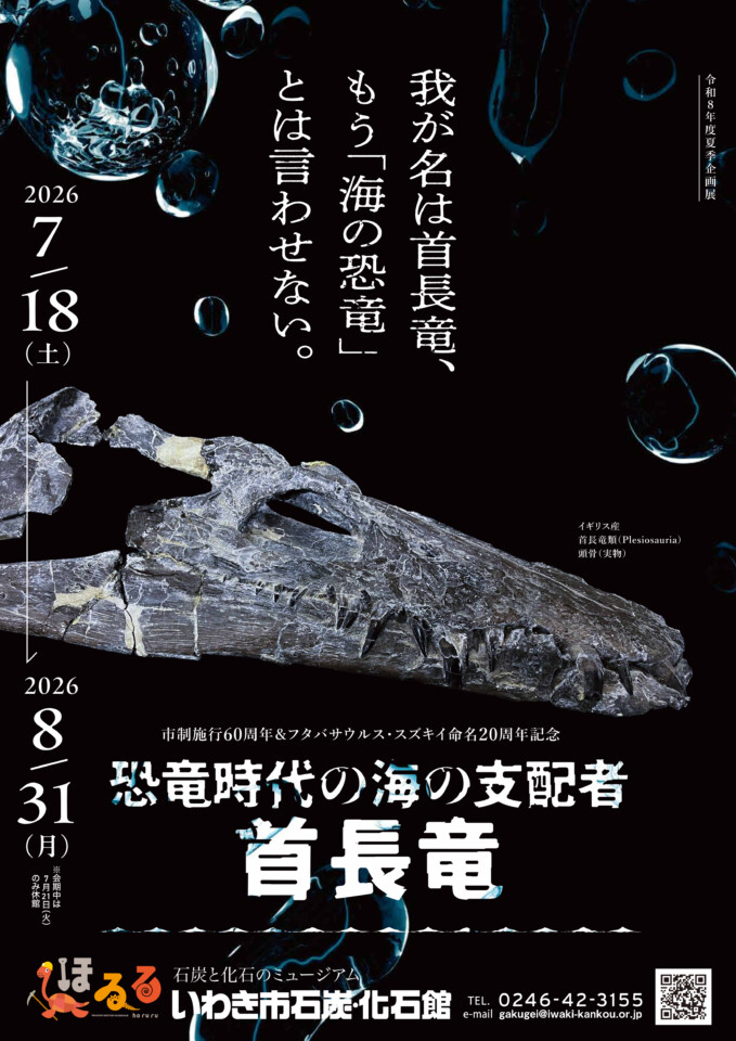 fukushimatweet's tweet photo. 首長竜は、恐竜でねえのがい！？🦕💥

フタバスズキリュウが発見されて58年、
フタバザウルス・スズキイと命名されて20年。
首長竜の化石の実物を特別展示！
夏休みに来てね🌻
https://t.co/G1bD0VcilJ https://t.co/CzSQUAi2h6