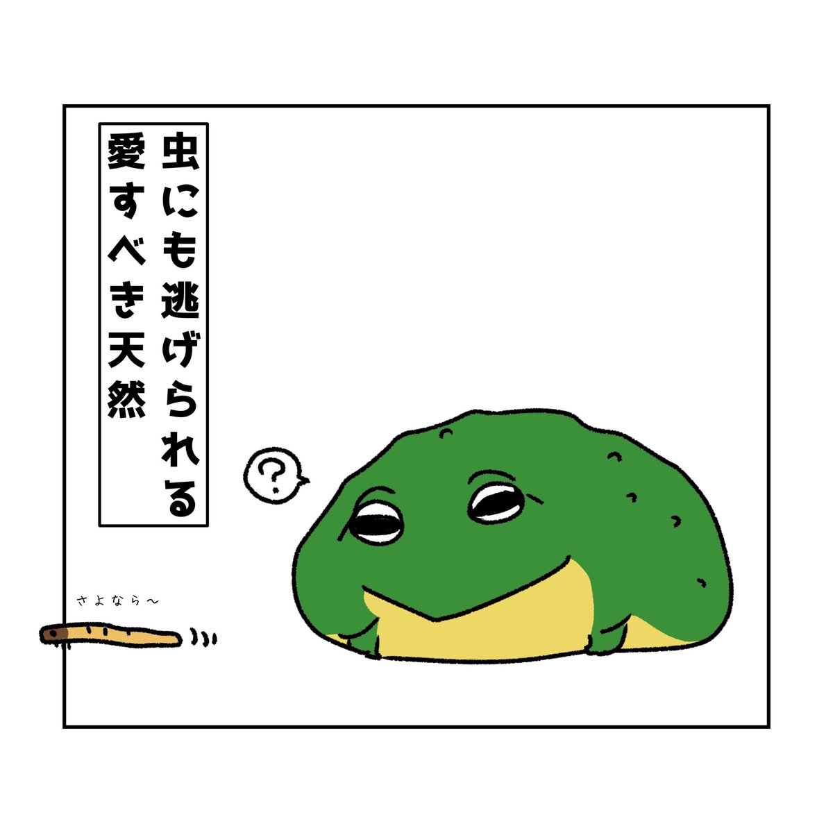 蛙さま　専用