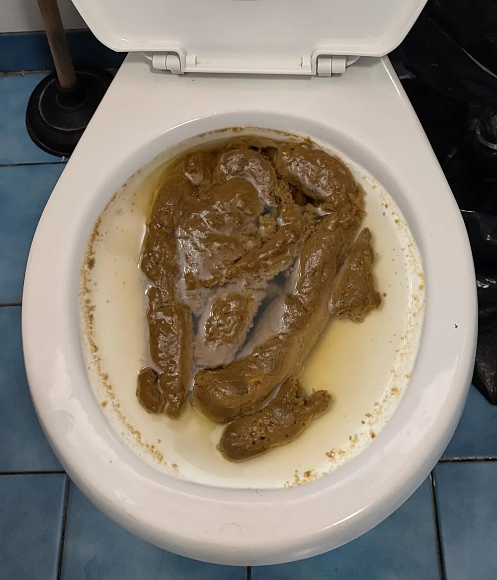 Natalie_poopst's tweet photo. I sat probably half an hour in 🚽 to produce this🥵🥵
#hugepoop #massivepoop https://t.co/Qmr2InMj9N