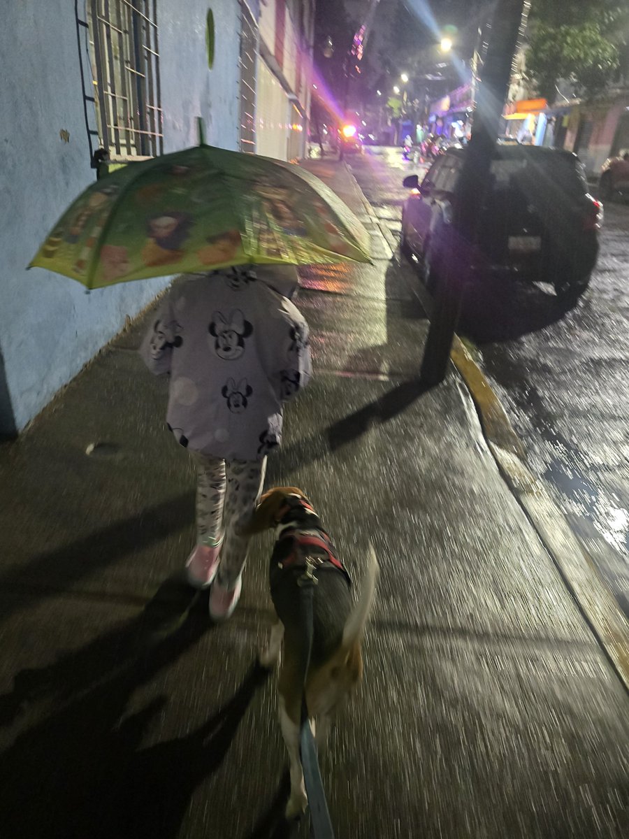 Cit_lali's tweet photo. Sacando a la bendición aunque llueva. Porque de algun modo debo moverme y las dos se hartan de estar encerradas. https://t.co/RpmBTuo19w