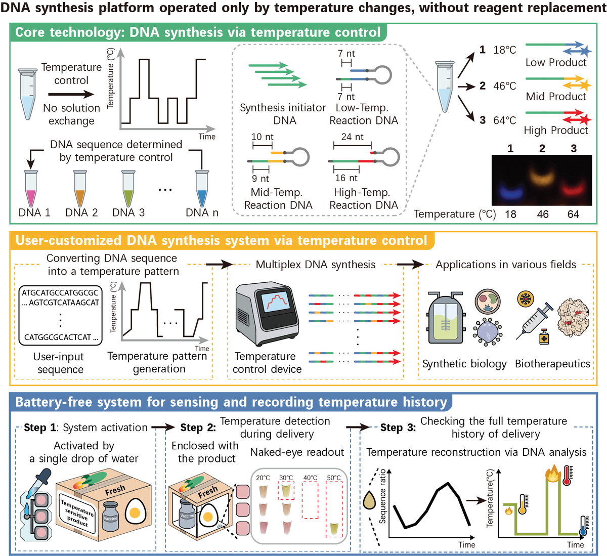 kaistpr's tweet photo. 🧬 KAIST has developed temperature-based DNA synthesis technology, creating desired DNA sequences by controlling temperature alone—without repeated reagent steps.

Published in Nature Communications.
🔗 https://t.co/bgrPKjNm0D
#KAIST #DNASynthesis https://t.co/xbYCgx3v9m