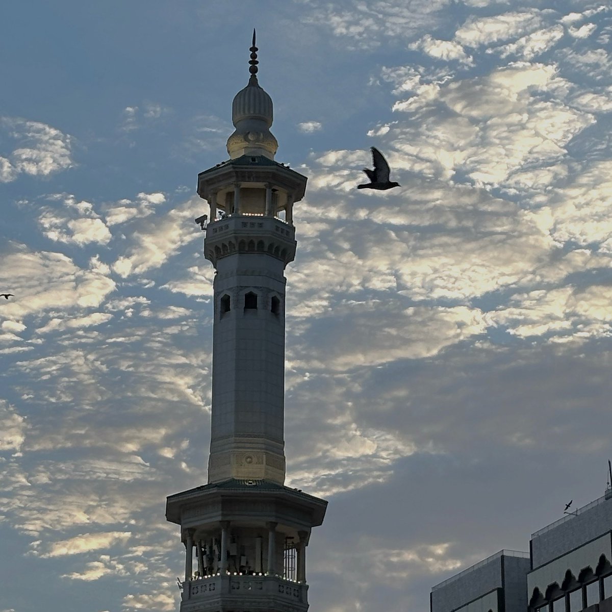 xshgi's tweet photo. صبـاح الخيـر🕋🤍 https://t.co/ZGy7nzpEYl