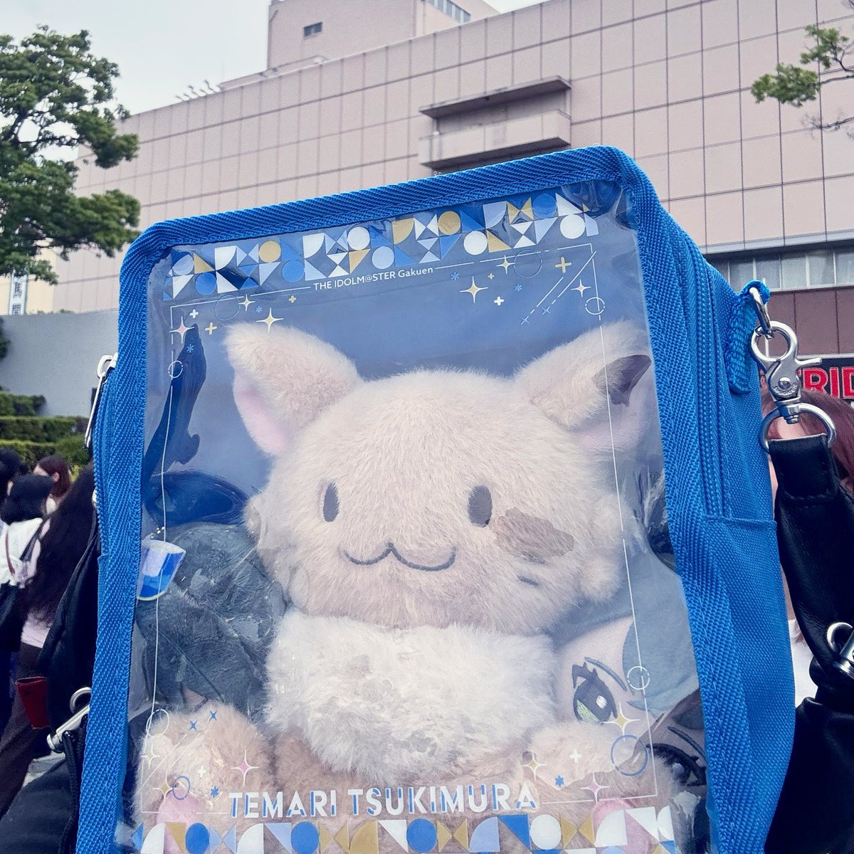 nm3ppp's tweet photo. 牛沢ぬいを連れていく入れ物が学園アイドルマスター/月村手毬仕様しか無くて両脇にてまぬい入れて持っていったの個人的に熱いハイライトですね。心無しか牛沢さんも喜んでます。知らんけど。
#TOP4TOKYODOME2 https://t.co/08oyCyANjQ