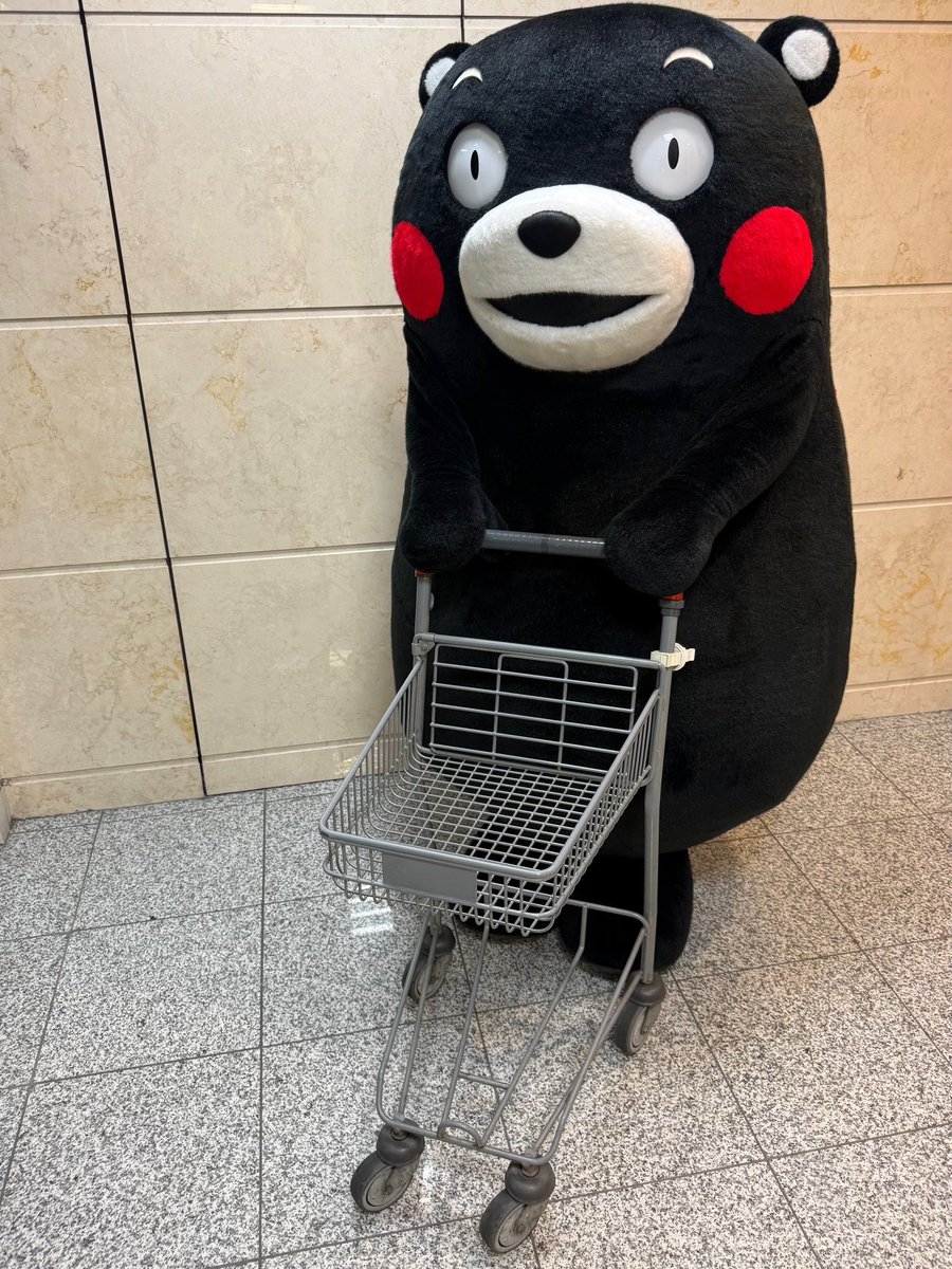 55_kumamon's tweet photo. さ〜て、明日のご飯ば買いに行くかモン！みなさん、おやくま〜☆ https://t.co/h4t3gOhTpD