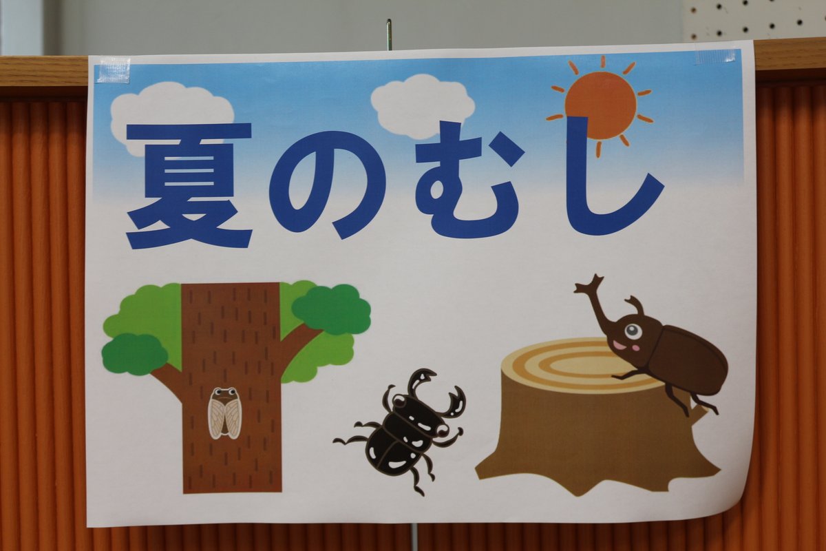 oono_ch_tl's tweet photo. 🐞児童書特集展示「夏の虫」開催中！

セミやカブトムシ、クワガタなど、夏の虫が登場する絵本を集めました📚

絵本を楽しんだあとは、虫たちを探しに出かけてみませんか？
ぜひ大野町立図書館の児童書コーナーへお立ち寄りください！ https://t.co/IzQbGTM6C5