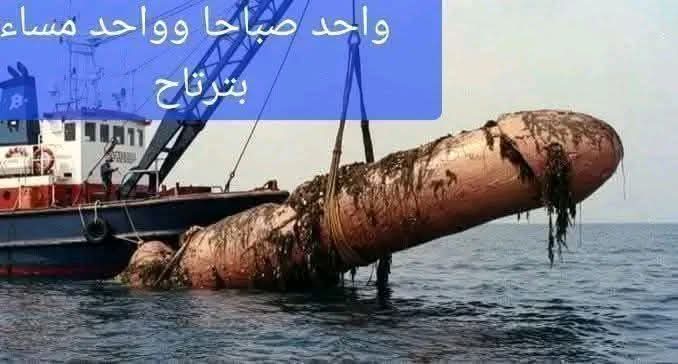 Alqut1999M's tweet photo. @DrIslamSakr عيل متناك خرابات وعامل حساب باسم دكتور https://t.co/4EkNFkSd4I