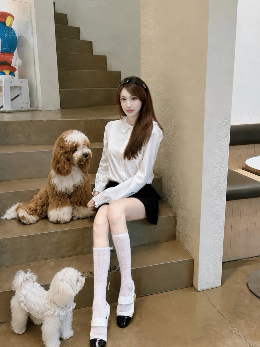 RonanBeck8054's tweet photo. 南京 IT’S OK Coffee &amp; Pet ☕️
A rather smart Korean-style pet café. The resident Cocker Spaniel is called Ok—an absolute darling. The drinks are spot on; light and refreshing. It’s quite the local haunt for dog owners, and all the furry regulars are ever so well-behaved. 🦮☕️ https://t.co/wYlMDSspeW