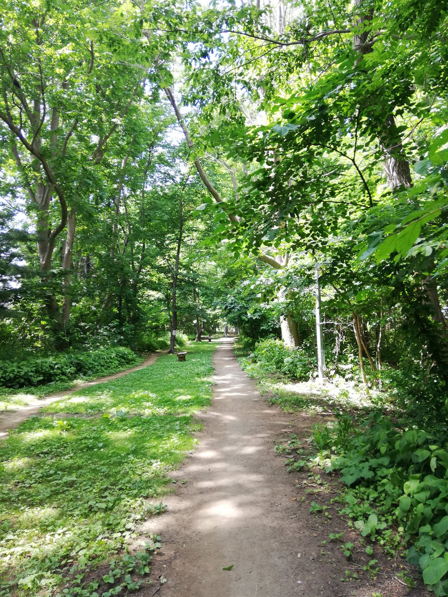 0banndesu's tweet photo. 近くの風致地区🌳
涼しい🎐 https://t.co/gGR0AIiAhh