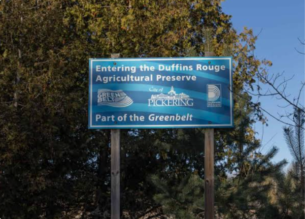 MSIFN's tweet photo. 🌳 The Greenbelt is still worth protecting

Many Ontarians breathed a collective sigh of relief when the provincial government reversed its controversial 2022 Greenbelt land removals – but that does not mean the pressure has lessened (or should).

Proposed mega-highways like Highway 413 and the Bradford Bypass, along with ongoing planning and legislative changes, continue to raise concerns about the future of Ontario's farmland, wetlands, forests, and drinking water.

The Greenbelt is not just empty land waiting for development. 
 
The Greenbelt: 
 
🌾 Protects some of Canada's most productive farmland. 
💧 Safeguards rivers, wetlands, and drinking water. 
🌿 Provides habitat for wildlife and helps fight climate change. 
🏡 Supports healthy, resilient communities for generations to come.
Now is not the time to turn a deaf ear
The Greenbelt belongs to all Ontarians. Let's remain vigilant and continue protecting one of our province's greatest natural and agricultural assets.
#ProtectTheGreenbelt #Ontario #Farmland #Environment #Conservation #ClimateAction #OntarioNature #ProtectFarmland #OurGreenbelt