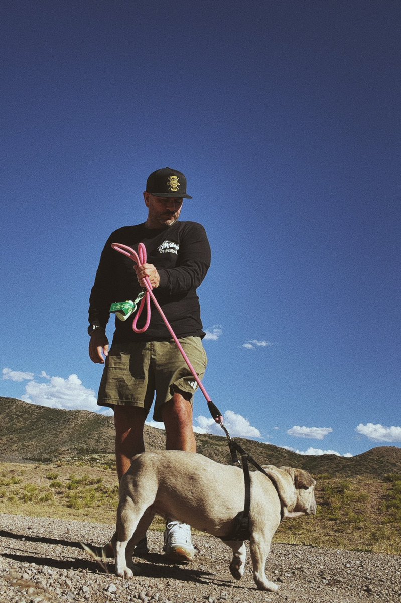 anthonyvaladez's tweet photo. Nessie’s first road trip. 
Somewhere in Utah. https://t.co/796OZP0wO0