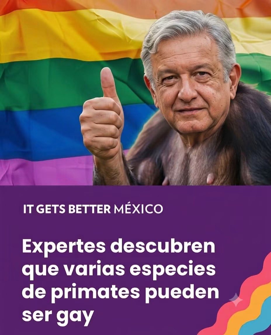 RobertoGCI's tweet photo. @FreddyOliviery #LaPerritaDeMonsiváis https://t.co/nB3s5J1JK7
