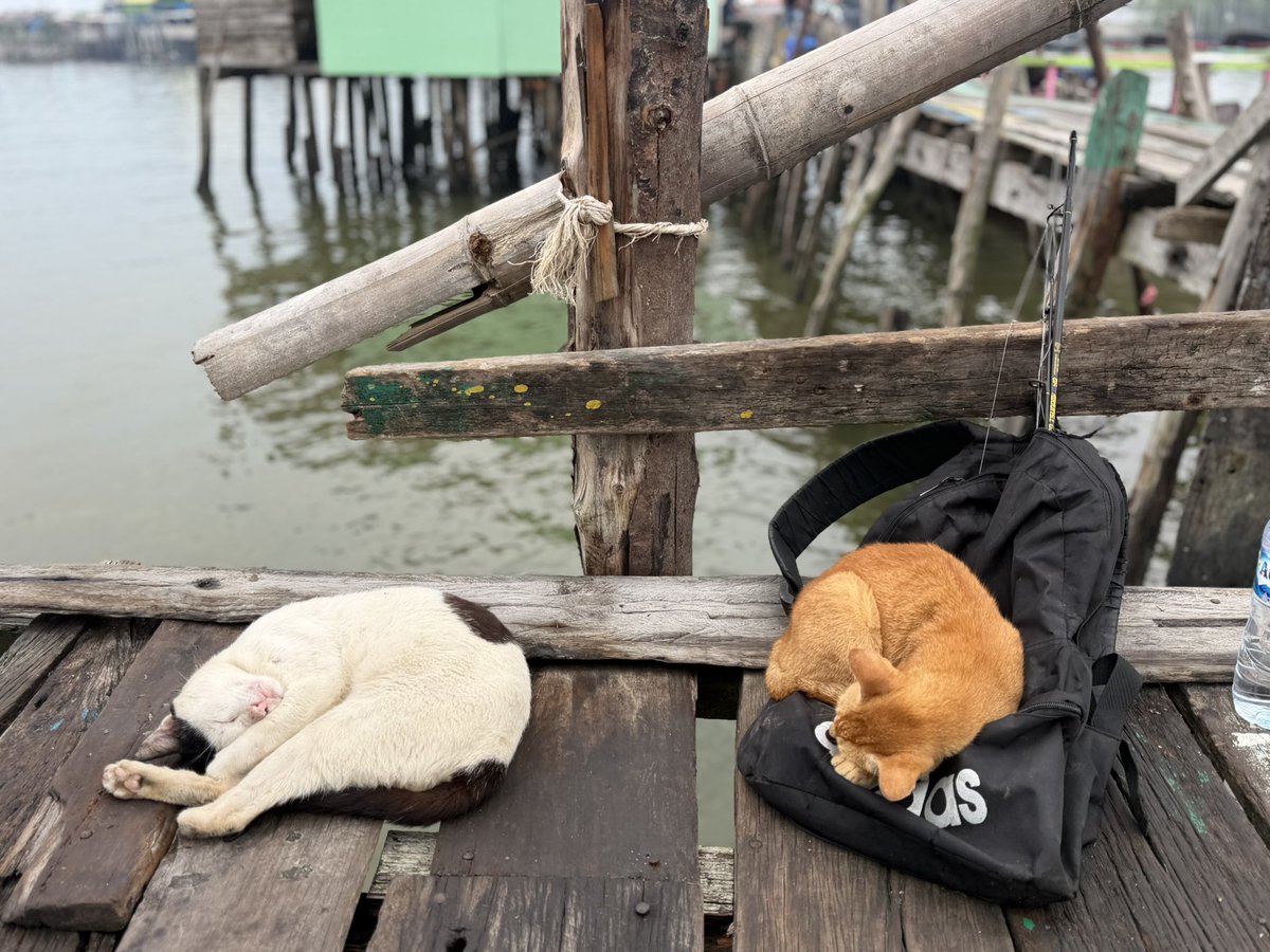 marucos91's tweet photo. やほまる〜
先週インドネシア🇮🇩から帰ってきました🙈
産後初の海外だった〜
怒涛のスケジュールで全然写真がないけど😂
なんとか生きてます😌 https://t.co/73WTymYLF0
