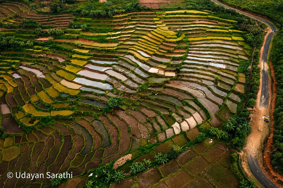 Udayan_Sarathi's tweet photo. Have you seen this in Koraput Yet ? 

Some landscapes are grown, not found. 
📍Bija Ghati 
Terrace Farming #koraput
 #drone #odisha
@odisha_tourism , @incredibleindia , @dmkoraput https://t.co/0AZaZAJtFf
