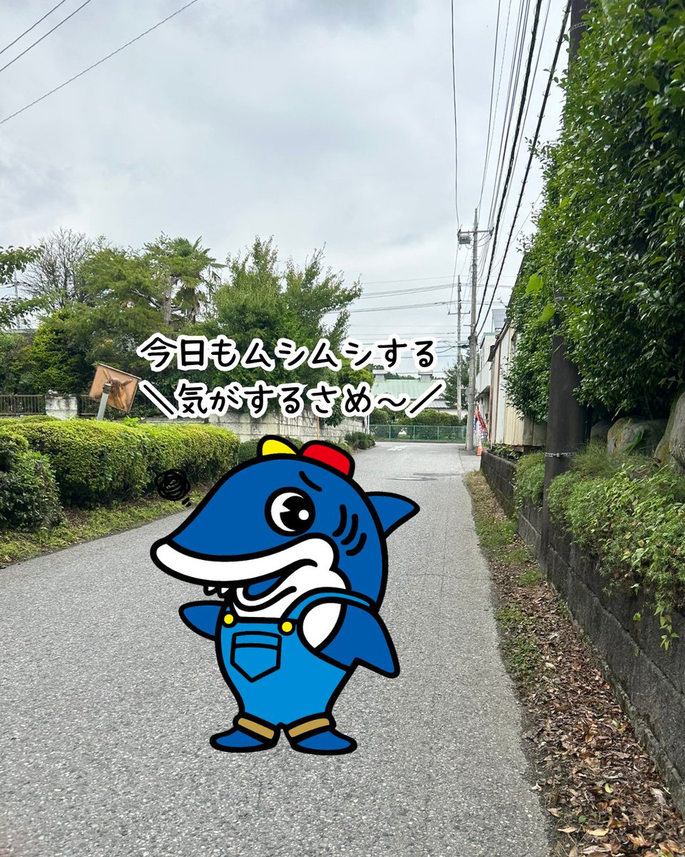 samejima_nikko's tweet photo. こんにちさめ～🦈
【今日の #日光 】☁️最高24℃ / 最低19℃

ひとことメモ📝
・昼間は雲が広がり過ごしやすい
・夕方も曇り空で穏やかな空模様
・夜も気温安定で過ごしやすい

のんびりした空模様でも元気にいくさめ🦈
#企業公式が地元の天気を言い合う https://t.co/NXkUHOxMwp