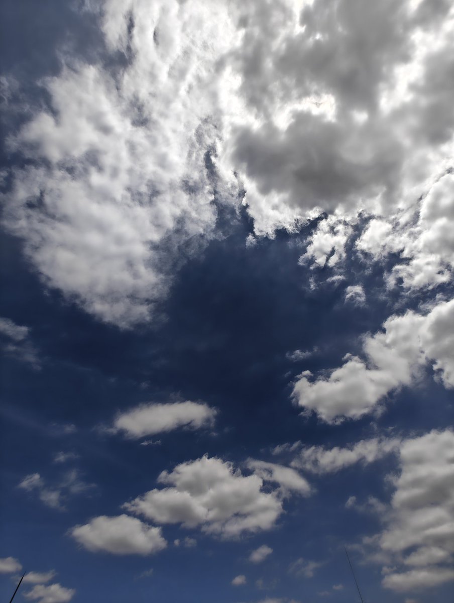 TMKYNGSW's tweet photo. 久しぶりにしっかりと青空

洗濯物も俺も嬉しい

筋トレをして汗ダクになった昨日ならもっと嬉しかった

御縁とすれ違っても苦笑いで手を上げる

噛み合う未来はきっと来る

そしてまた汗をかく

#晴れ
#洗濯と選択 https://t.co/6cfZkmz2hq