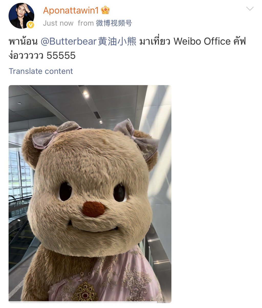 llihcnmadmi2's tweet photo. Apo Nattawin Weibo update 

พาน้อน @Butterbear黄油小熊 มาเที่ยว Weibo Office คัฟ ง่อววววว 55555

Link: https://t.co/kMJRUowNAQ https://t.co/3M9mplK9T2