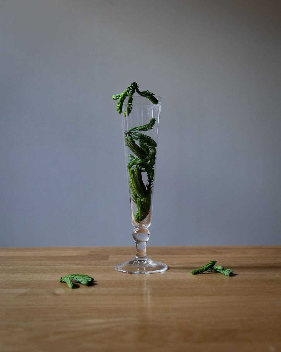 nobu5428's tweet photo. Mocktail pairing course piece

【吟醸茶】
吟醸香にある青リンゴやパイナップルのような香りを含む「栃尾栃掘産 杉の芽 減圧蒸留水」。
スモーキーな一保堂 いり番茶。
生姜やハーブ。
エイサ009で調え「冷やし卵豆腐と青柚子のジュレ」と合わせました。

2026.6.28創作

#杉の芽 #卓上減圧蒸留器 https://t.co/cd9hUiLa4A