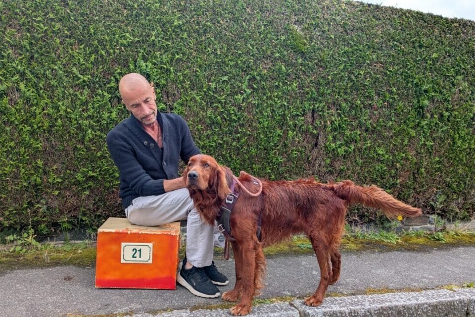 fratotolo2's tweet photo. La parabola del buon samaritano ai tempi dell’accoglienza di incivili

Saint-Juvat (Francia), il 56enne Hervé aveva accolto una famiglia di immigrati che rischiava di passare l’inverno in strada.

Dopo poco tempo, il comportamento della famiglia era cambiato, tra minacce e danneggiamenti dell’immobile. 

Così, Hervé ha chiesto loro di andarsene ma hanno rifiutato. 

L'uomo ha avviato una procedura di sfratto, ma questa procede molto lentamente perché la famiglia non si presenta alle udienze e ne chiede il rinvio.

Ora è Hervé a essere finito in strada.