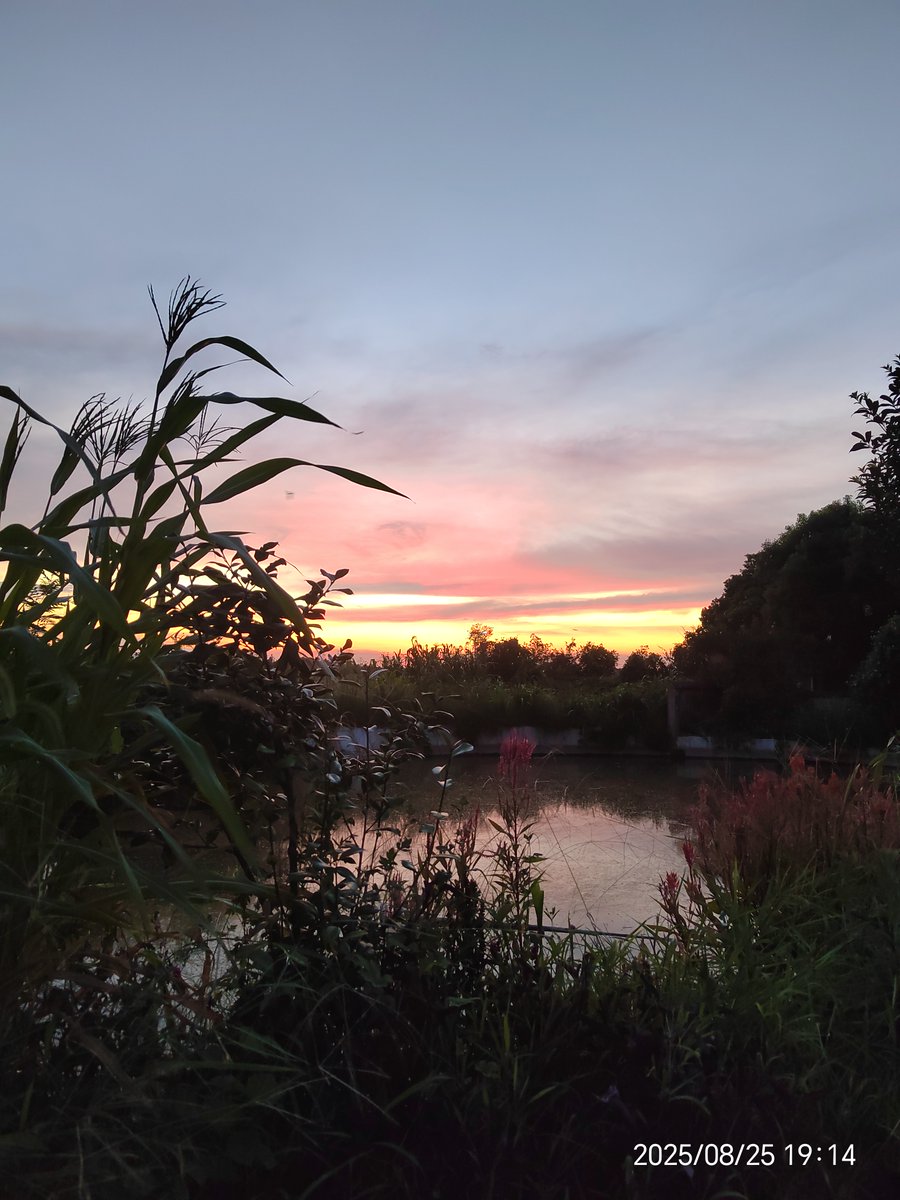 stepa0408's tweet photo. [Just finished a quick day trip to the lake! Fresh air, empty roads, and way too many photos of sunsets.  #WeekendVibes]， https://t.co/PArq9pPWv0