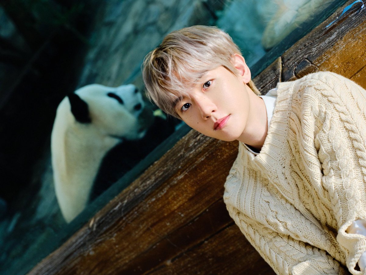 bestofbyunbaek's tweet photo. 260708 BAEKHYUN China Chongqing Photobook Stills 📸

#백현 #BAEKHYUN @B_hundred_Hyun @BAEKHYUN_INB100 https://t.co/E3qY1rLwP7
