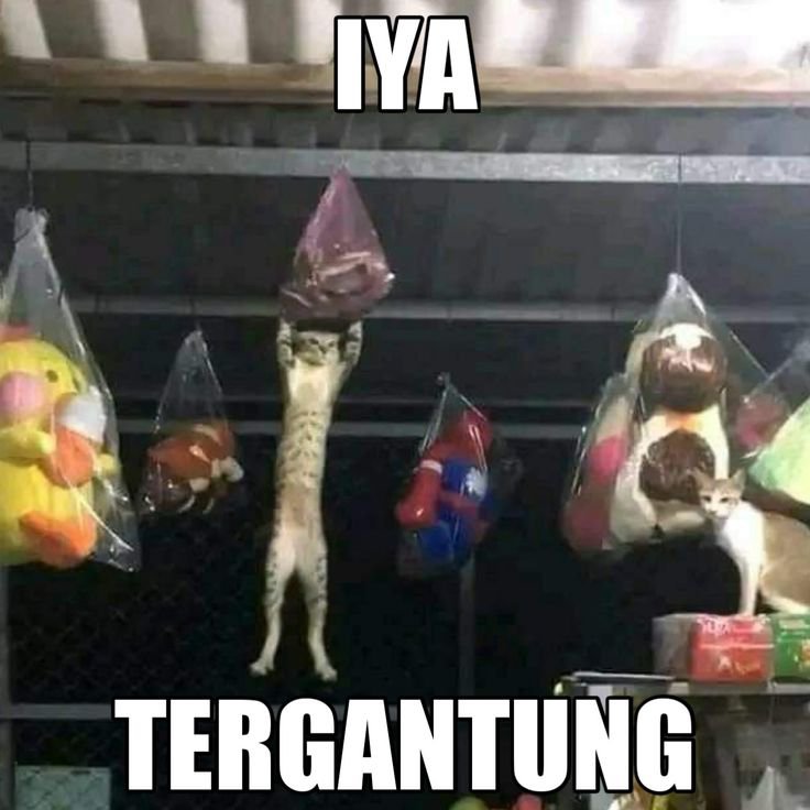 inisialna_'s tweet photo. @tanyakanrl semua pertanyaan umum kaya gini jawabannya tergantung https://t.co/JCc6Joszei