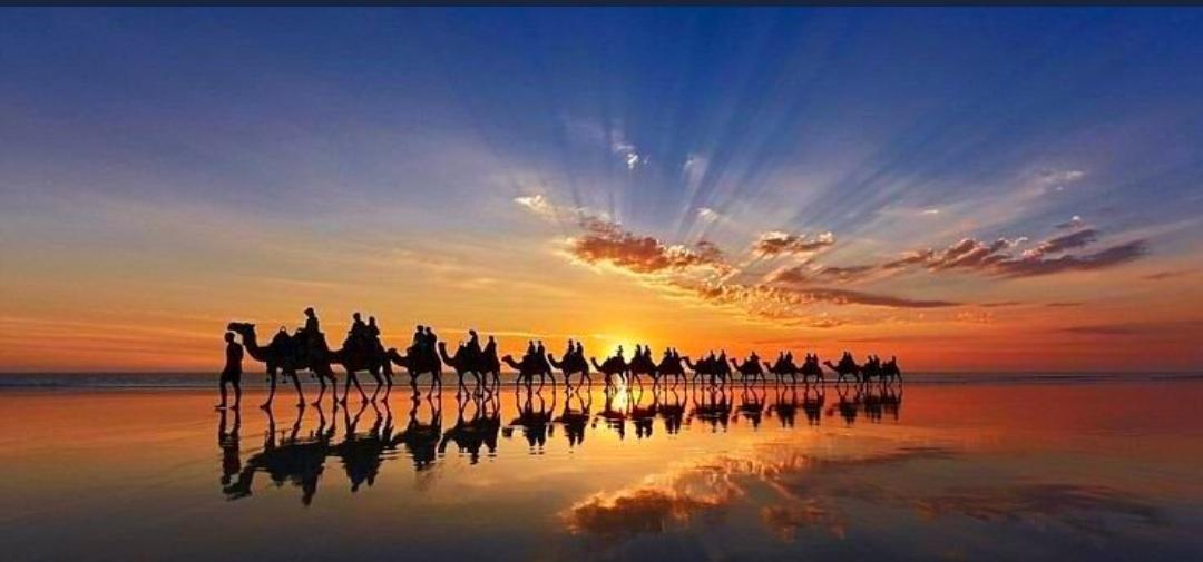 520777Can's tweet photo. Tolstoy demiş ki:
"Tüm muhteşem hikayeler iki şekilde başlar: Ya bir insan bir yolculuğa çıkar, ya da şehre bir yabancı gelir." 

"Kaldığın yerden değil!
Olduğun yerden, devam ediyor hayat..." Herkese kalbinin renginde bir gün dileğiyle Günaydınnnn☕🍫☀️🌀🎶💦🕊️🦋🌼 https://t.co/l2GBU8l1Nw