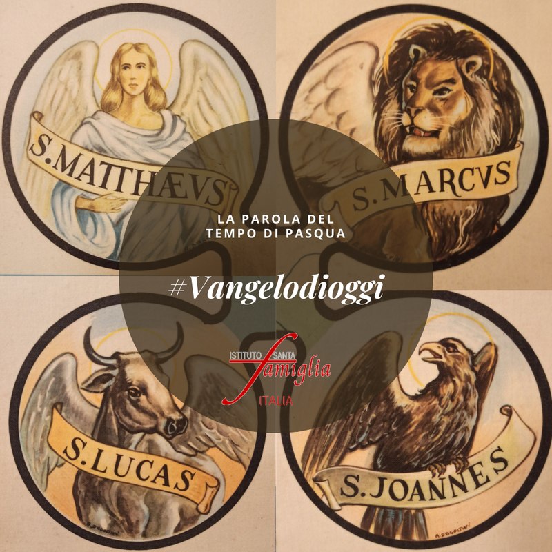ISF_Italia's tweet photo. Martedì 12 Maggio 2026
Dal Vangelo secondo Giovanni
Gv 16,5-11

https://t.co/gbHG5HQmCO

#Vangelodioggi https://t.co/CIURpUwAkG
