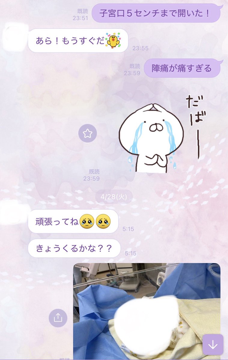 hari_log_o0's tweet photo. 産まれた日のLINE見返すことが多いんだけど（1枚目が夫、2枚目が家族）5時21分に産まれたから、私が踏ん張ってる間にLINEきてたのなんかおもしろいな笑

家族からはまさかもう産まれてるとは思わなかったって言われた🤣
そして早起き母が一番に反応してくれました🤍 https://t.co/owQt8Yz2V9