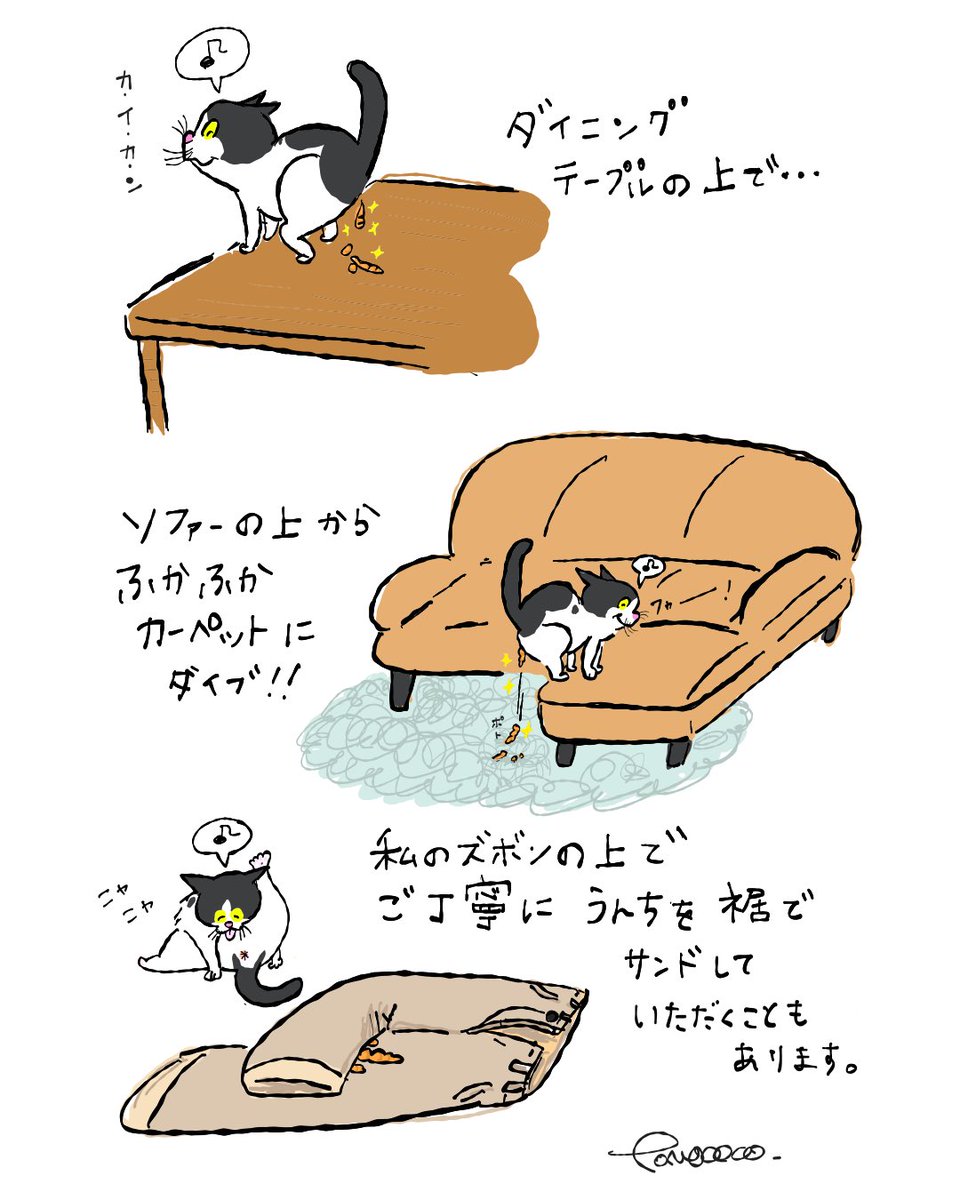 hacocolle's tweet photo. 変わらぬ愛と忠実な下僕として
これからも日々精進させていただきます
#イラスト
#ねこ
#cat
#tomococo https://t.co/PDNBxid4Vo
