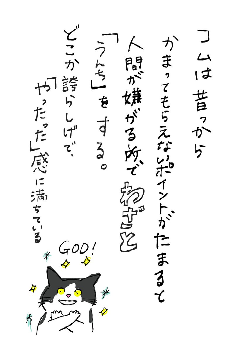 hacocolle's tweet photo. 変わらぬ愛と忠実な下僕として
これからも日々精進させていただきます
#イラスト
#ねこ
#cat
#tomococo https://t.co/PDNBxid4Vo