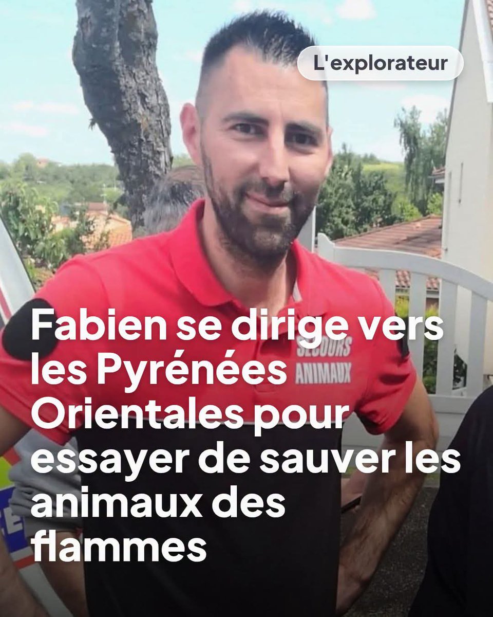 AdeaClaude's tweet photo. 🔥🚒 Direction les Pyrénées-Orientales.

Fab quitte l’Auvergne pour rejoindre le terrain et apporter son aide face à l’incendie qui a déjà ravagé près de 4900 hectares.
La faune sauvage est durement touchée, animaux blessés, piégés, habitats détruits.
Max de soutiens pour Fab 🙏 https://t.co/K8rDA7OJd0