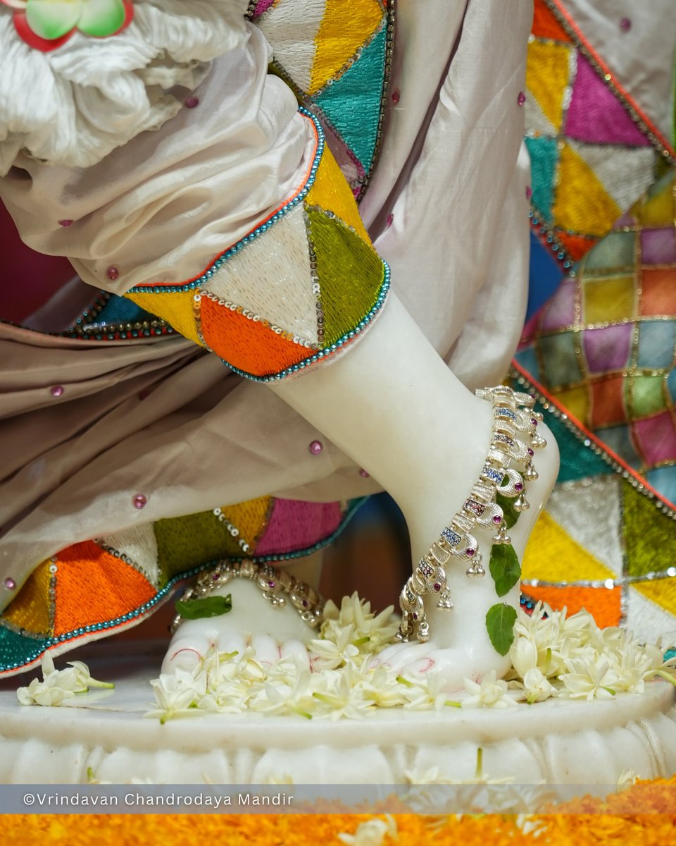 VCMVrindavan's tweet photo. Today's Sringar Darshan of Sri Radha Vrindavanchandra, 08 July 2026
बुधवार, आषाढ़ मास, अष्टमी तिथि, कृष्ण पक्ष, विक्रम संवत् २०८३, गौरबदा 540
#vrindavan #vrindavanchandrodayamandir #tallesttemple #Krishna #radh https://t.co/ipKX5wtg2F